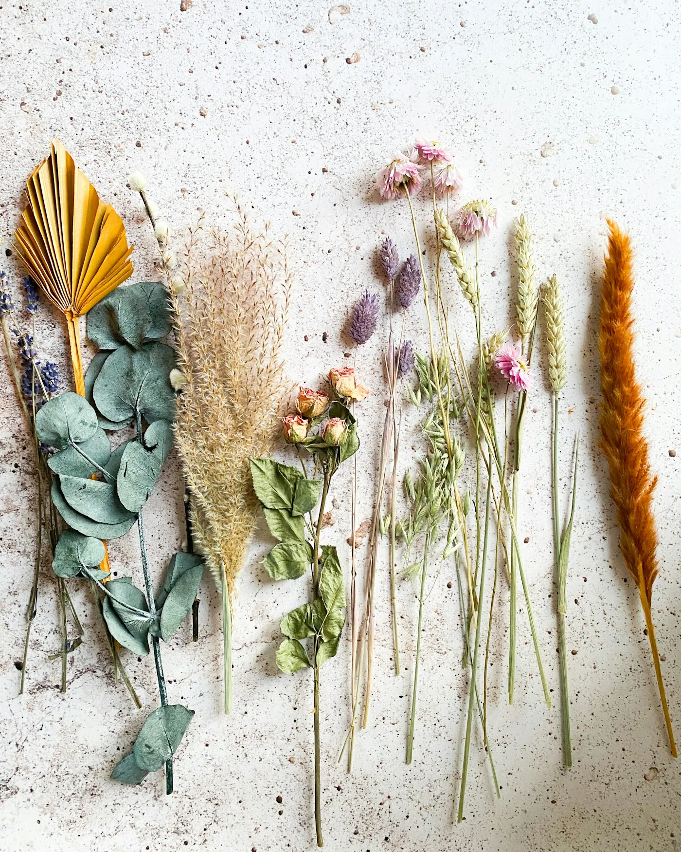 Dried flowers and grasses laid out on white